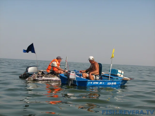 Грибовка — Кизомыс, 2008 · фото 93