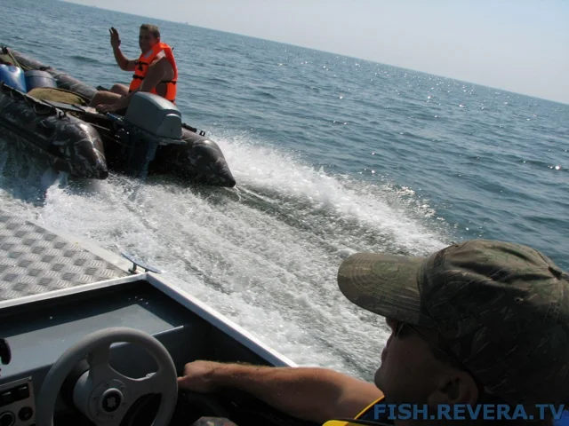 Грибовка — Кизомыс, 2008 · фото 52