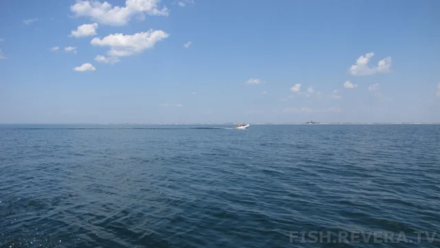 Одесса — Тарханкут, 2013 · фото 16