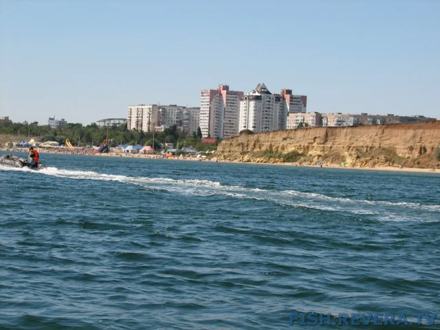 Грибовка — Кизомыс, 2008 · фото 177