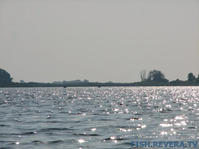 Грибовка — Кизомыс, 2008 · фото 97