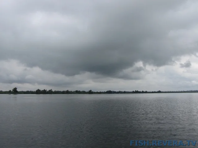Рыбаковка — Новая Каховка, 2011 · фото 27