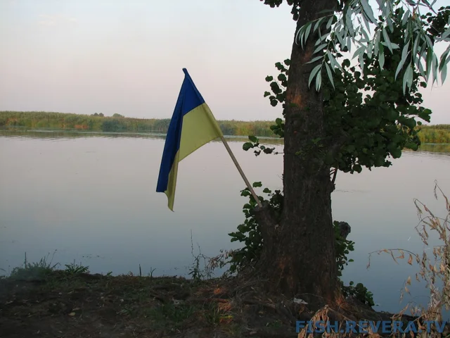 Грибовка — Кизомыс, 2008 · фото 111