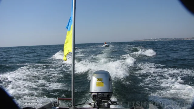 Одесса — Тарханкут, 2013 · фото 2