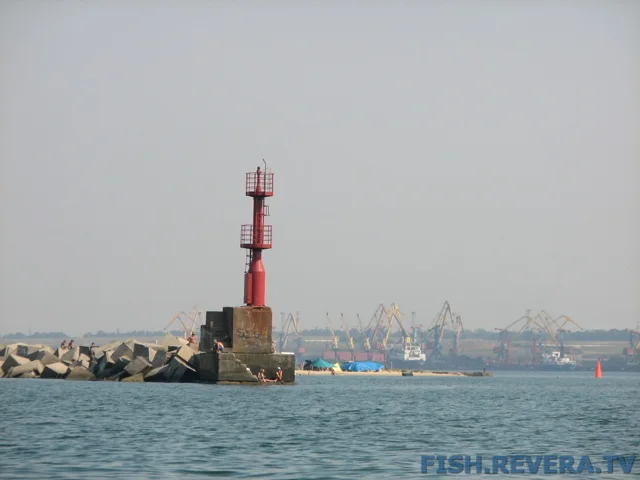 Грибовка — Кизомыс, 2008 · фото 46