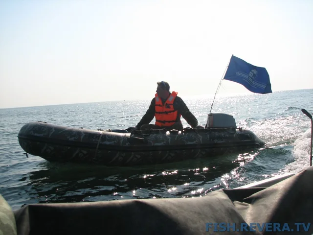 Грибовка — Кизомыс, 2008 · фото 39
