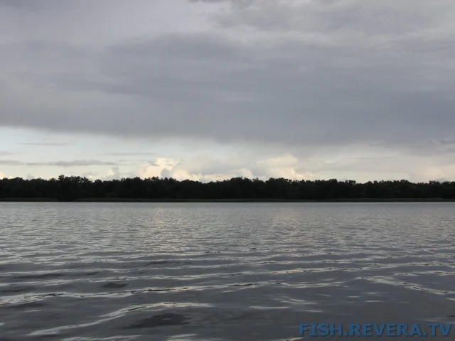 Рыбаковка — Новая Каховка, 2011 · фото 142