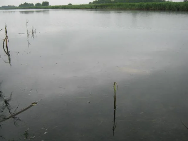 Рыбаковка — Новая Каховка, 2011 · фотография из авторского рассказа