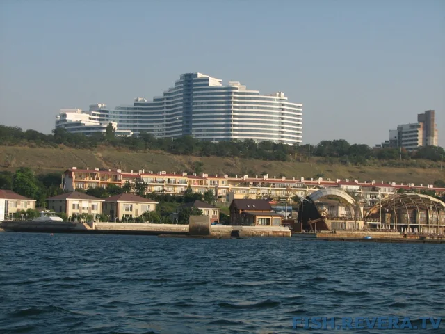 Грибовка — Кизомыс, 2008 · фото 23