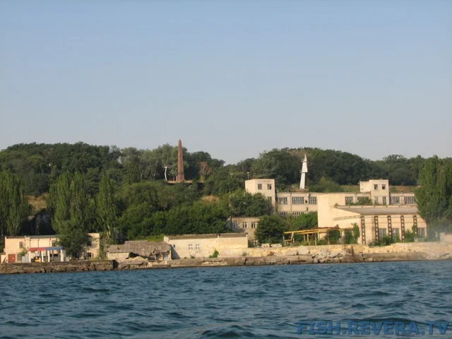 Грибовка — Кизомыс, 2008 · фото 28