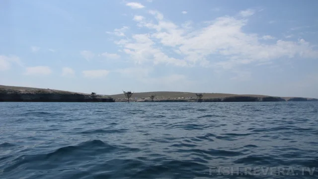 Одесса — Тарханкут, 2013 · фото 43