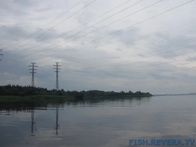 Рыбаковка — Новая Каховка, 2011 · фото 124