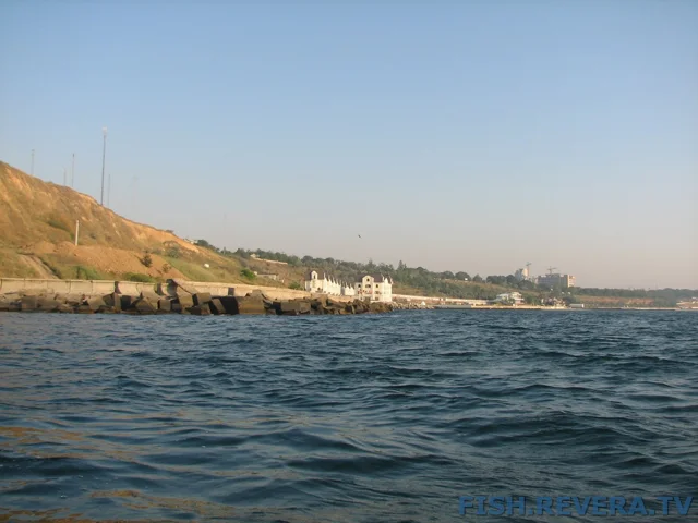 Грибовка — Кизомыс, 2008 · фото 22