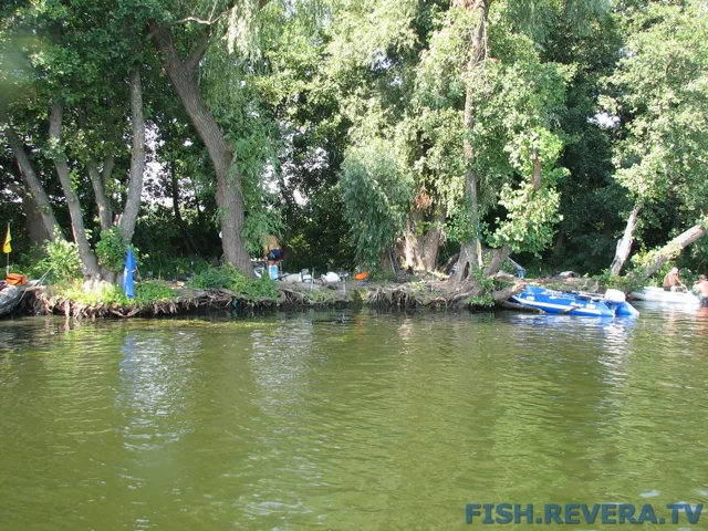 Грибовка — Кизомыс, 2008 · фото 114