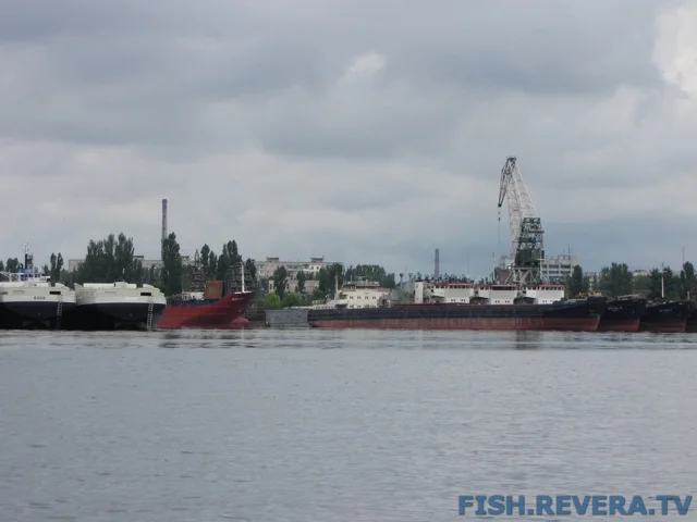 Рыбаковка — Новая Каховка, 2011 · фото 47