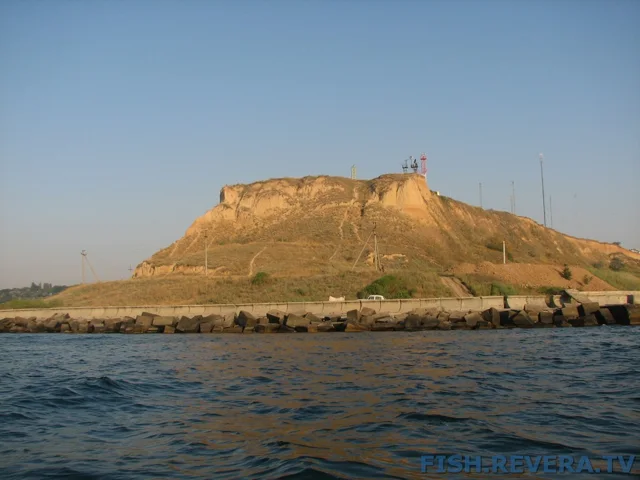 Грибовка — Кизомыс, 2008 · фото 21