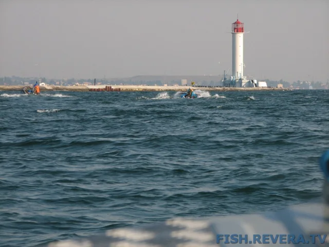 Грибовка — Кизомыс, 2008 · фото 29