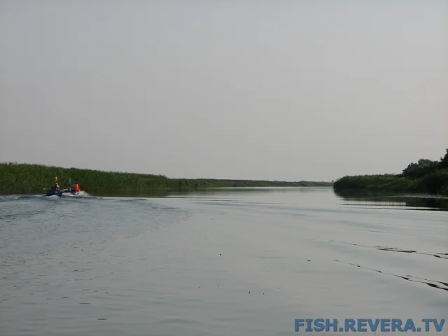 Грибовка — Кизомыс, 2008 · фото 105