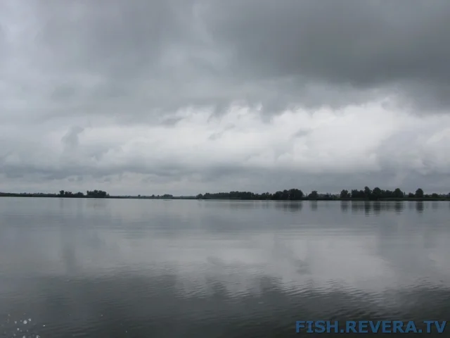 Рыбаковка — Новая Каховка, 2011 · фото 31