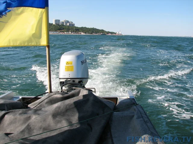 Грибовка — Кизомыс, 2008 · фото 180
