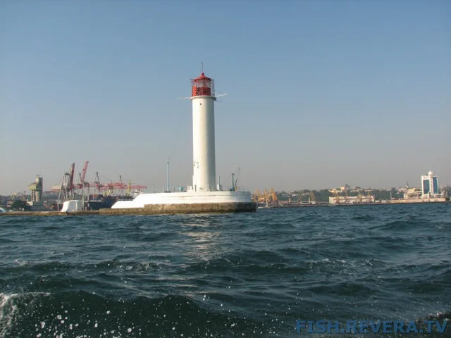 Грибовка — Кизомыс, 2008 · фото 33