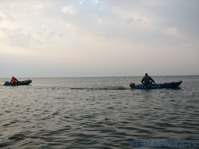 Грибовка — Кизомыс, 2008 · фото 157