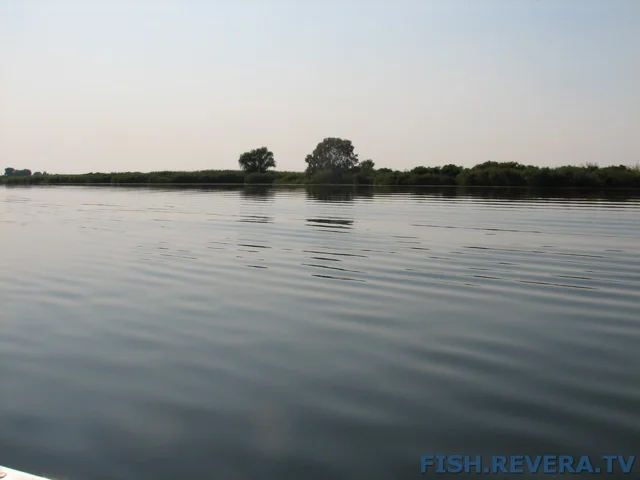 Грибовка — Кизомыс, 2008 · фото 118