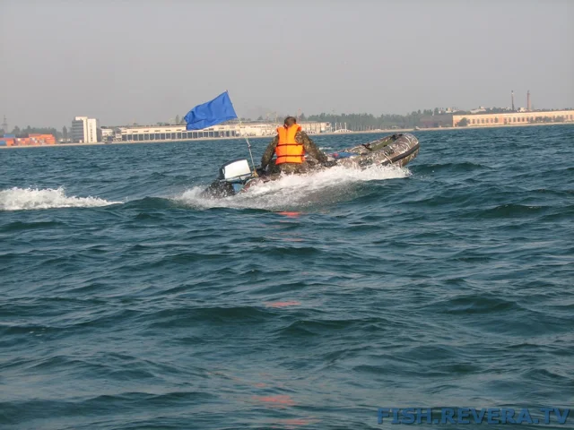 Грибовка — Кизомыс, 2008 · фото 36
