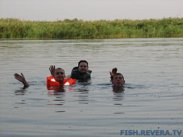 Грибовка — Кизомыс, 2008 · фото 134