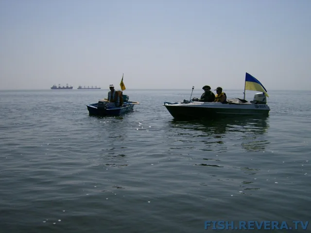 Грибовка — Кизомыс, 2008 · фото 8