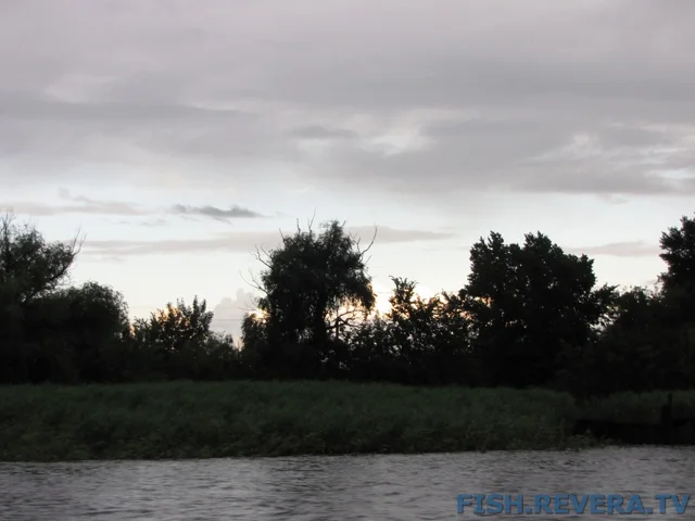 Рыбаковка — Новая Каховка, 2011 · фото 144