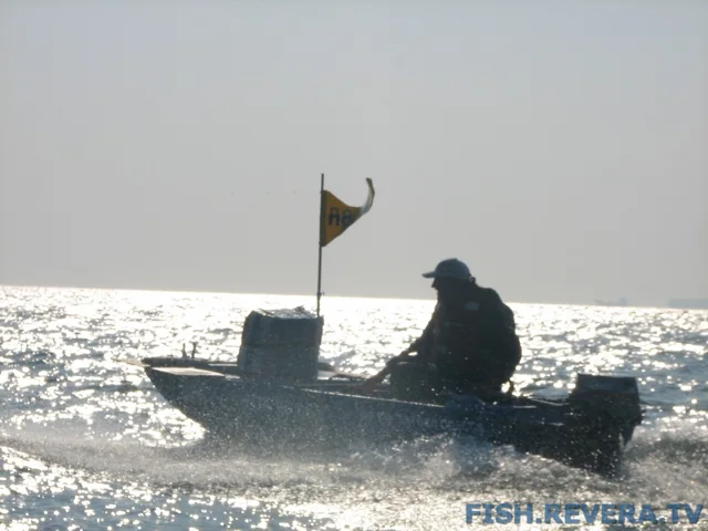 Грибовка — Кизомыс, 2008 · фото 37