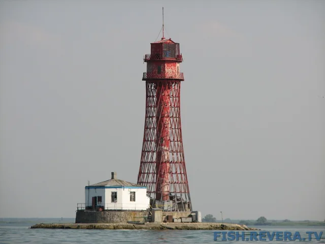 Грибовка — Кизомыс, 2008 · фото 92