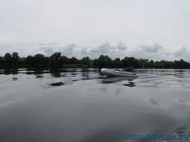 Рыбаковка — Новая Каховка, 2011 · фото 83
