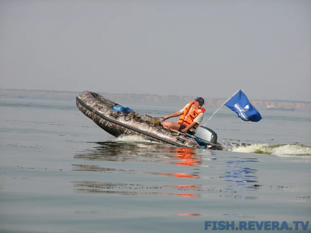Грибовка — Кизомыс, 2008 · фото 88