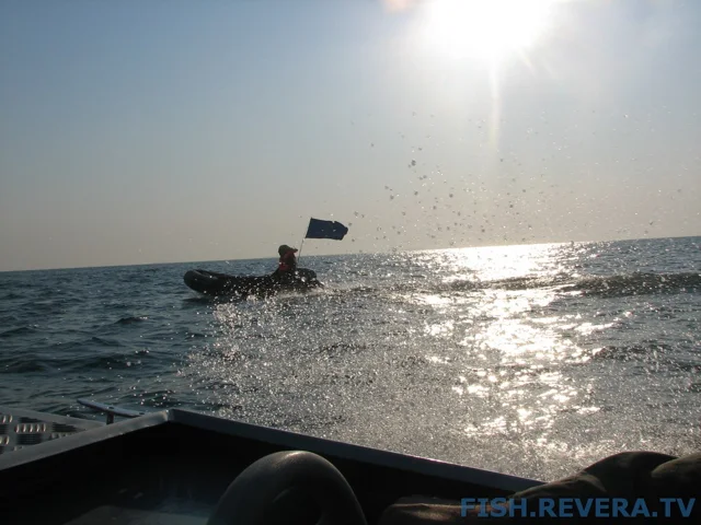 Грибовка — Кизомыс, 2008 · фото 25