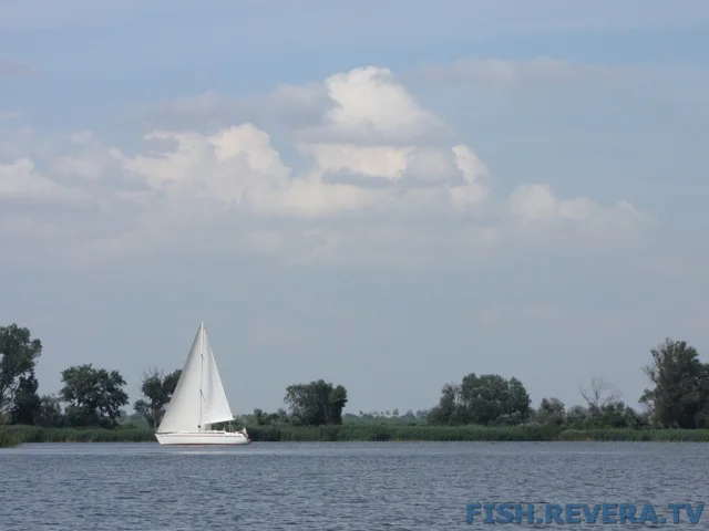 Рыбаковка — Новая Каховка, 2011 · фото 14
