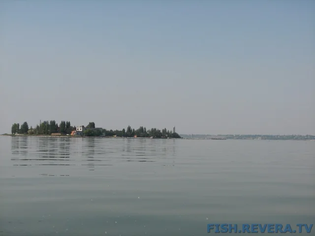 Грибовка — Кизомыс, 2008 · фото 84