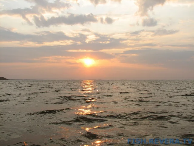 Грибовка — Кизомыс, 2008 · фото 155
