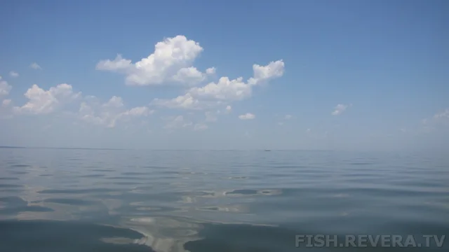Одесса — Тарханкут, 2013 · фото 11