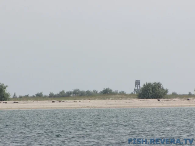Рыбаковка — Крым, 2010 · фото 39