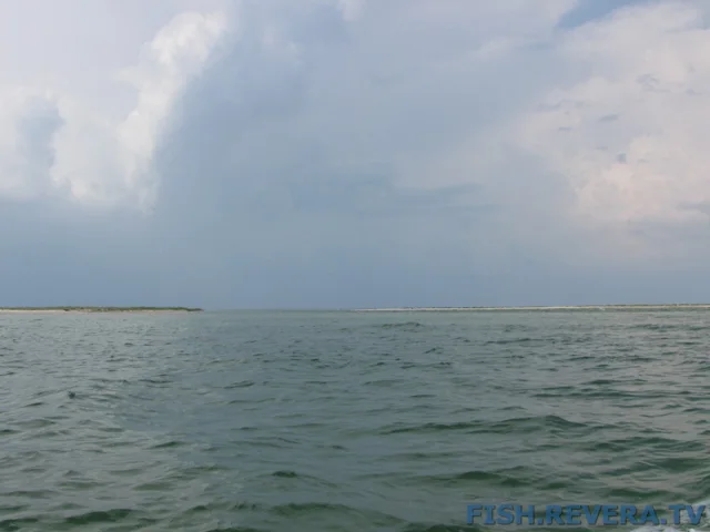 Рыбаковка — Крым, 2010 · фото 78