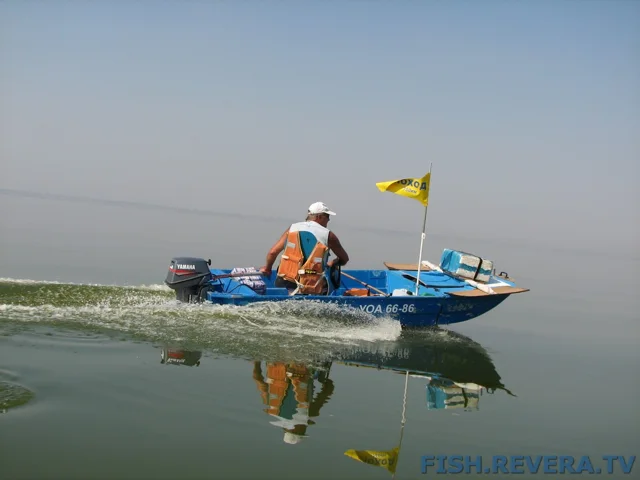 Грибовка — Кизомыс, 2008 · фото 87