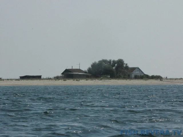 Рыбаковка — Крым, 2010 · фото 21