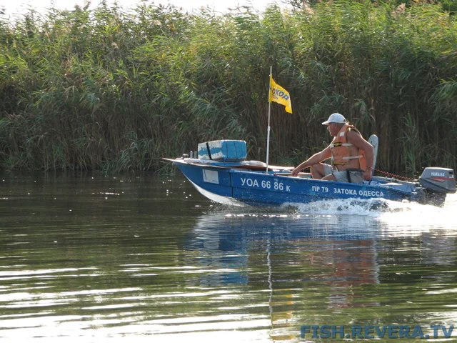 Грибовка — Кизомыс, 2008 · фото 109