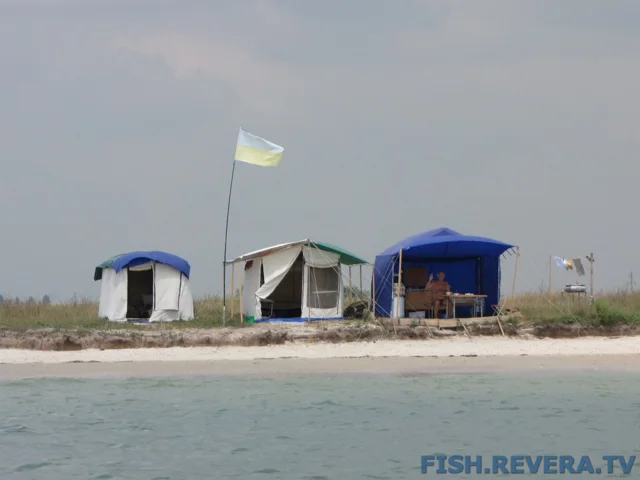 Рыбаковка — Крым, 2010 · фото 54