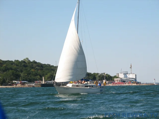 Грибовка — Кизомыс, 2008 · фото 179