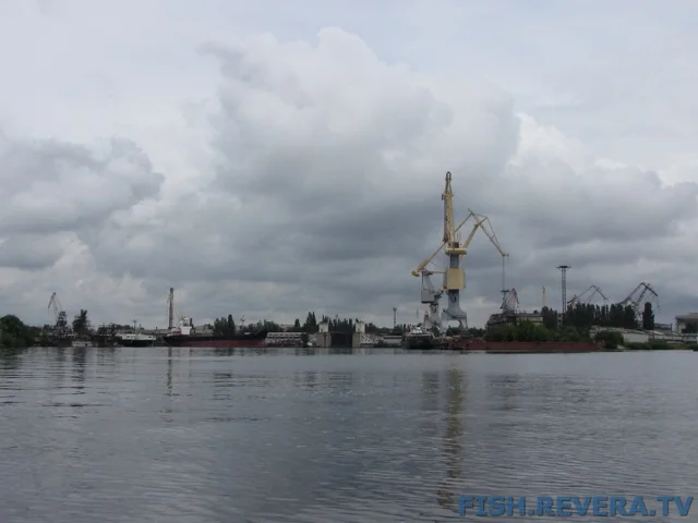 Рыбаковка — Новая Каховка, 2011 · фото 46