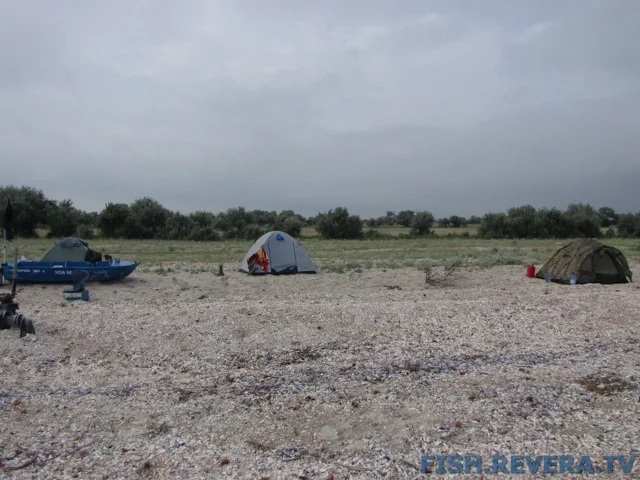 Рыбаковка — Крым, 2010 · фото 89