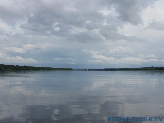Рыбаковка — Новая Каховка, 2011 · фото 84